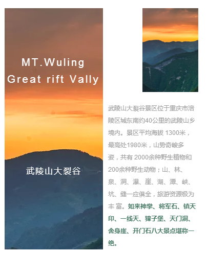 185530_911115.png